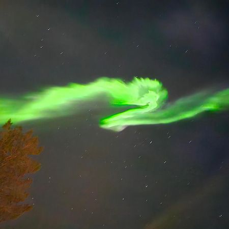Innholdsrik Og Koselig Leilighet I Svolvaer Lofoten Bagian luar foto