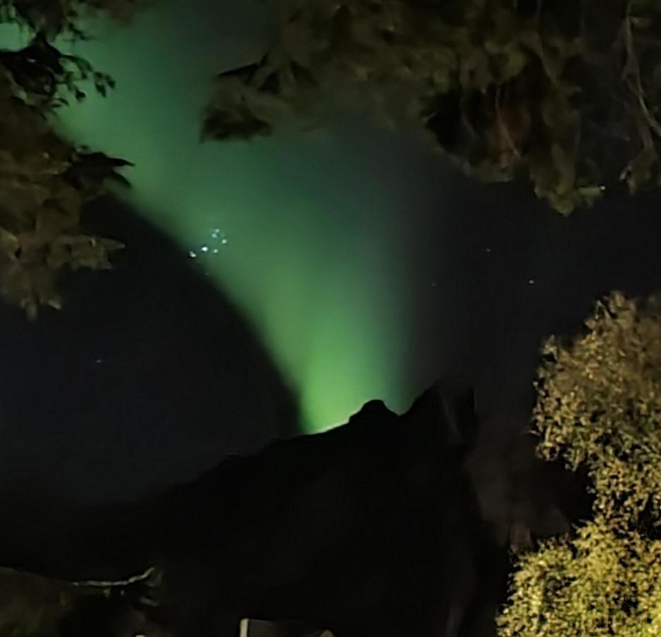 Innholdsrik Og Koselig Leilighet I Svolvaer Lofoten Bagian luar foto